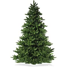 Albero Bucarest cm 240